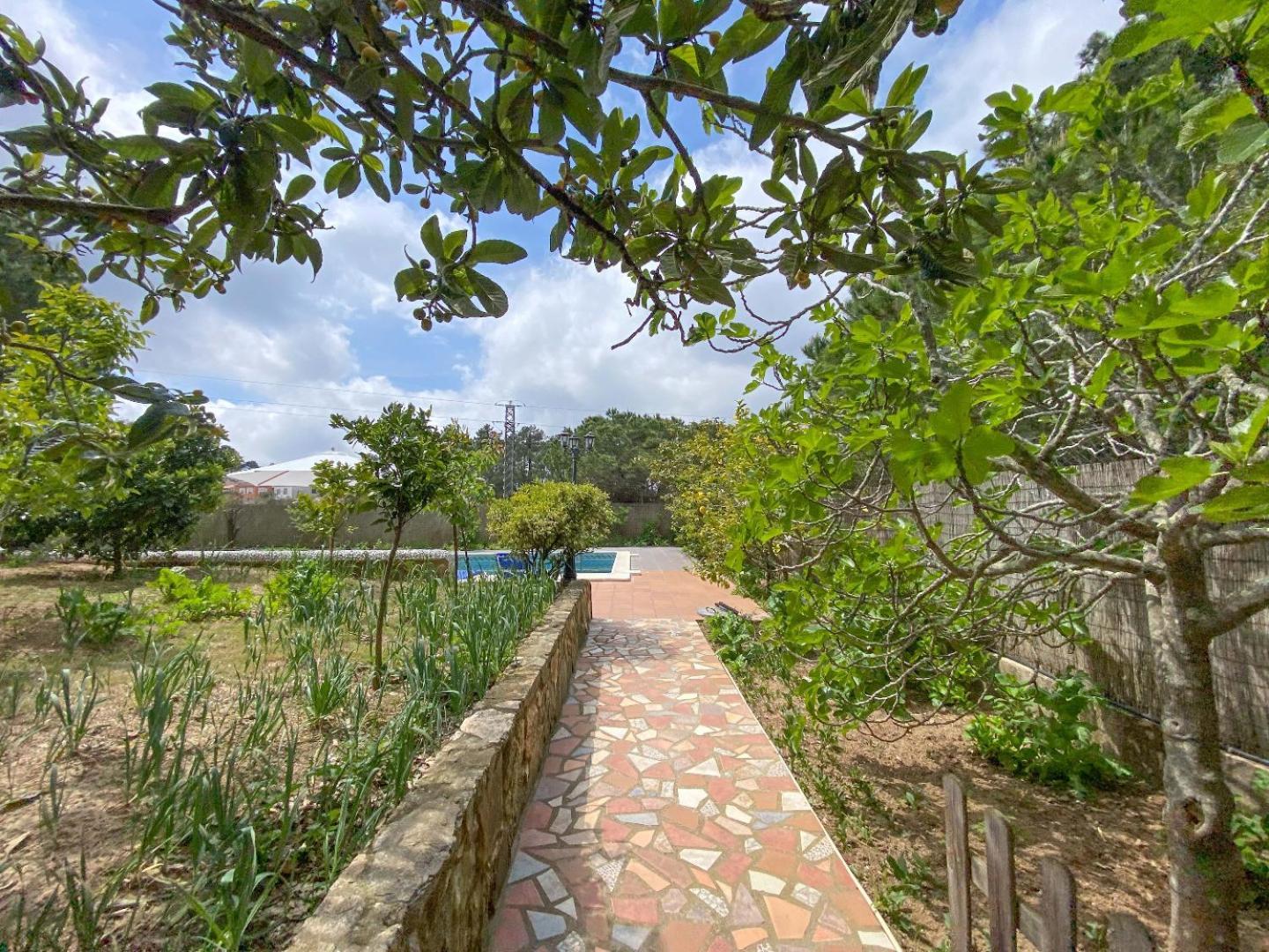 Club Villamar - Pablo Villa Lloret de Mar
